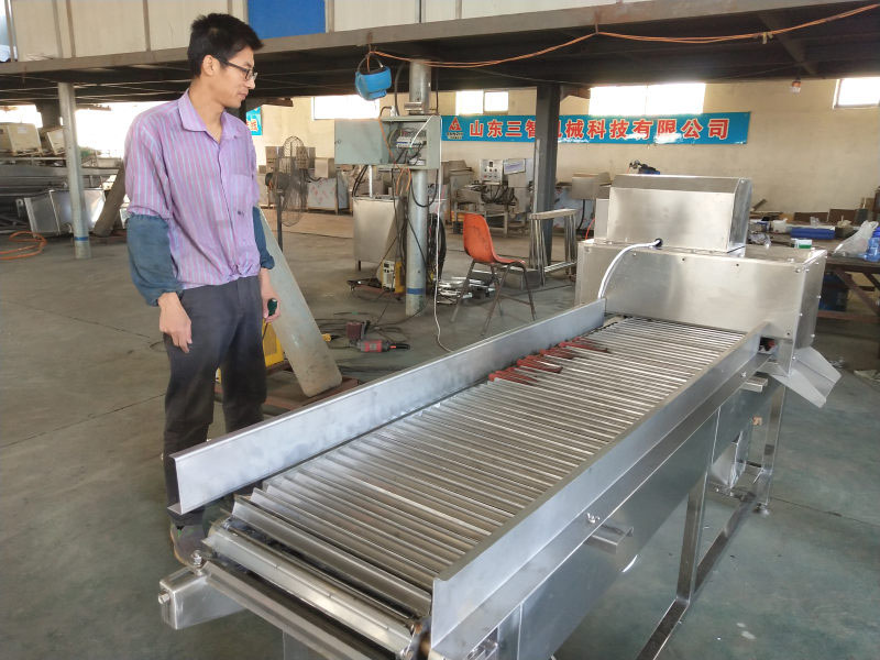 鮮辣椒切根機