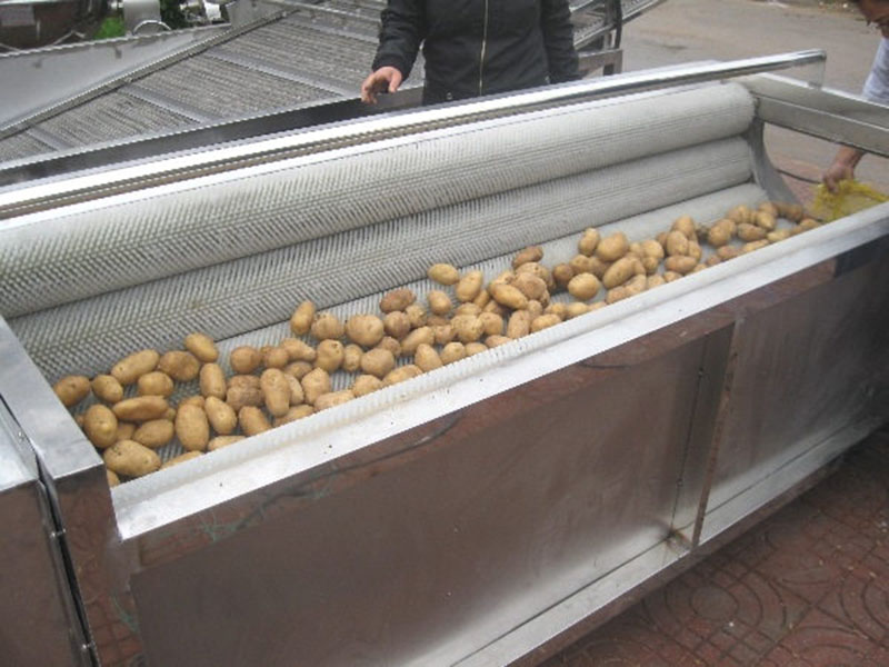 土豆、紅薯清洗去皮機(jī)