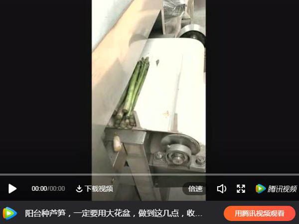 蘆筍切根機(jī)