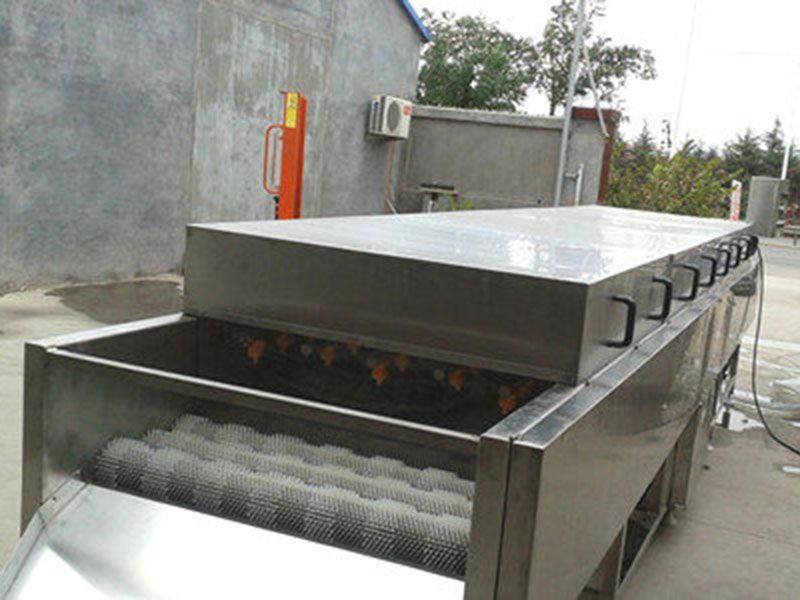 山東毛輥清洗去皮機(jī)